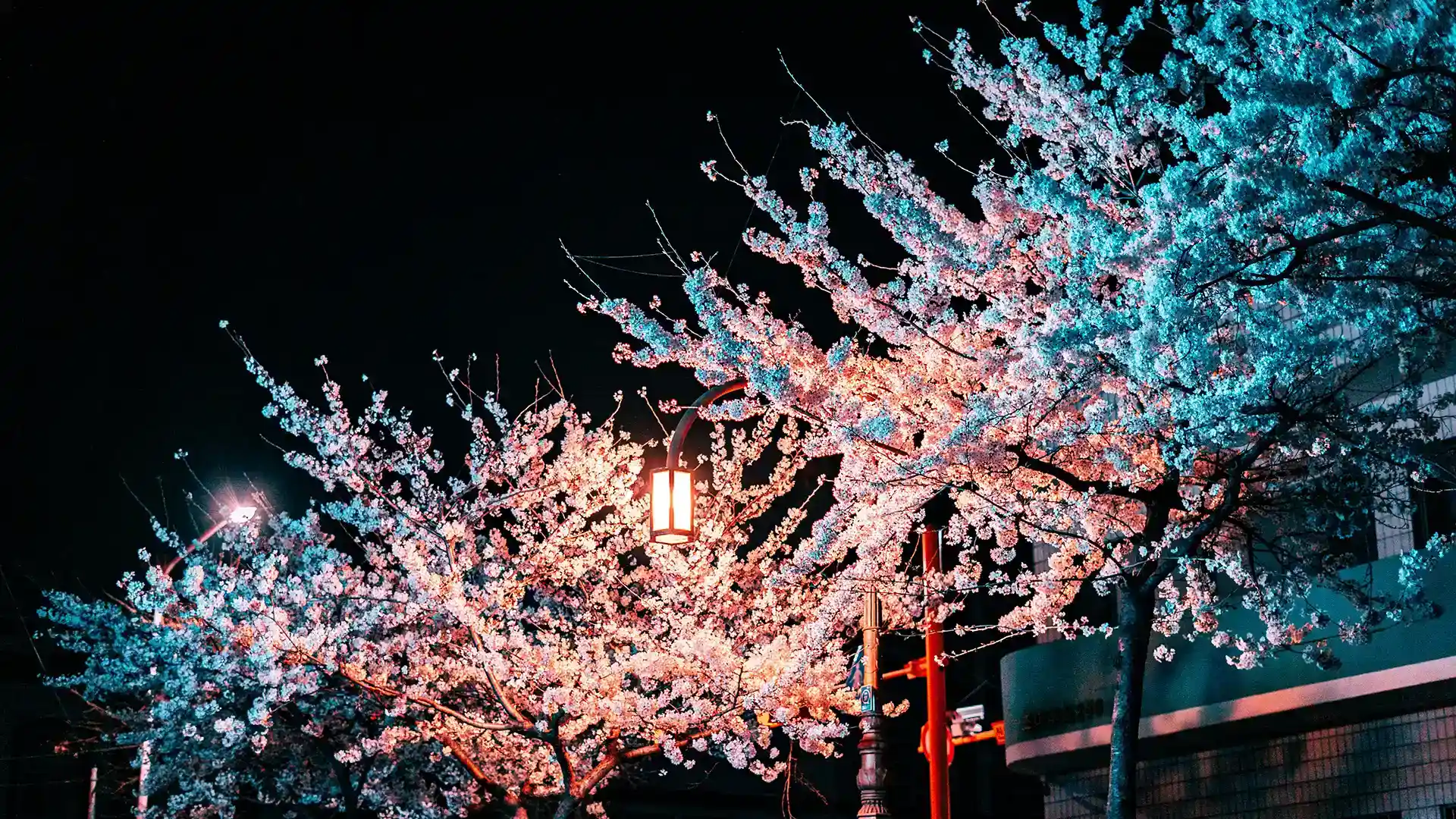 2026年ゴールデンウイークのお休み